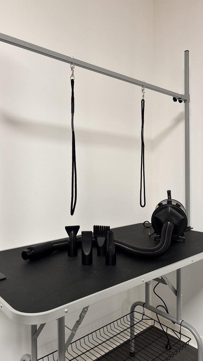 Table de séchage avec potence et pulseur professionnel