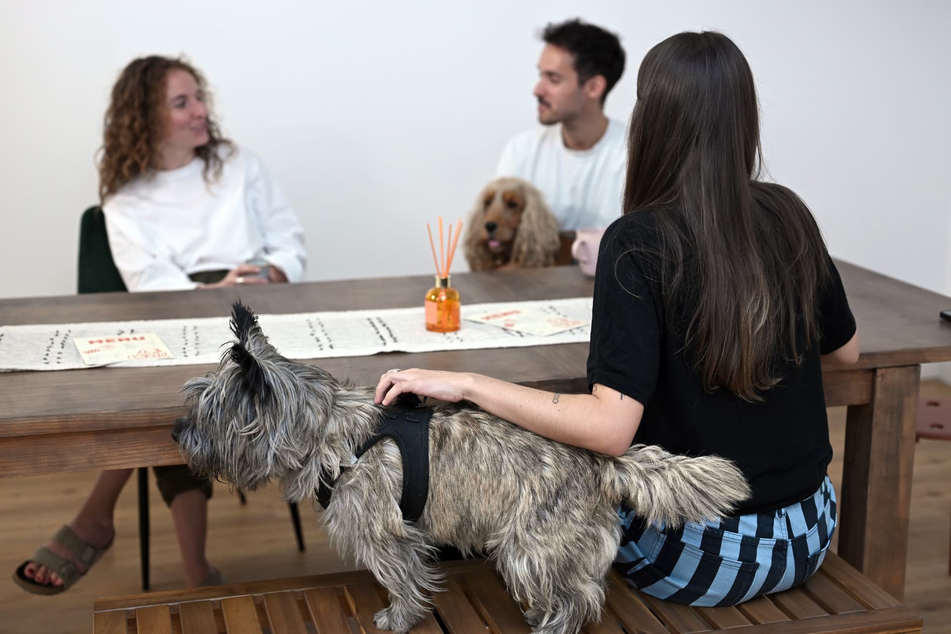 Maîtres et chiens réunis dans l'espace café du club Woof Society