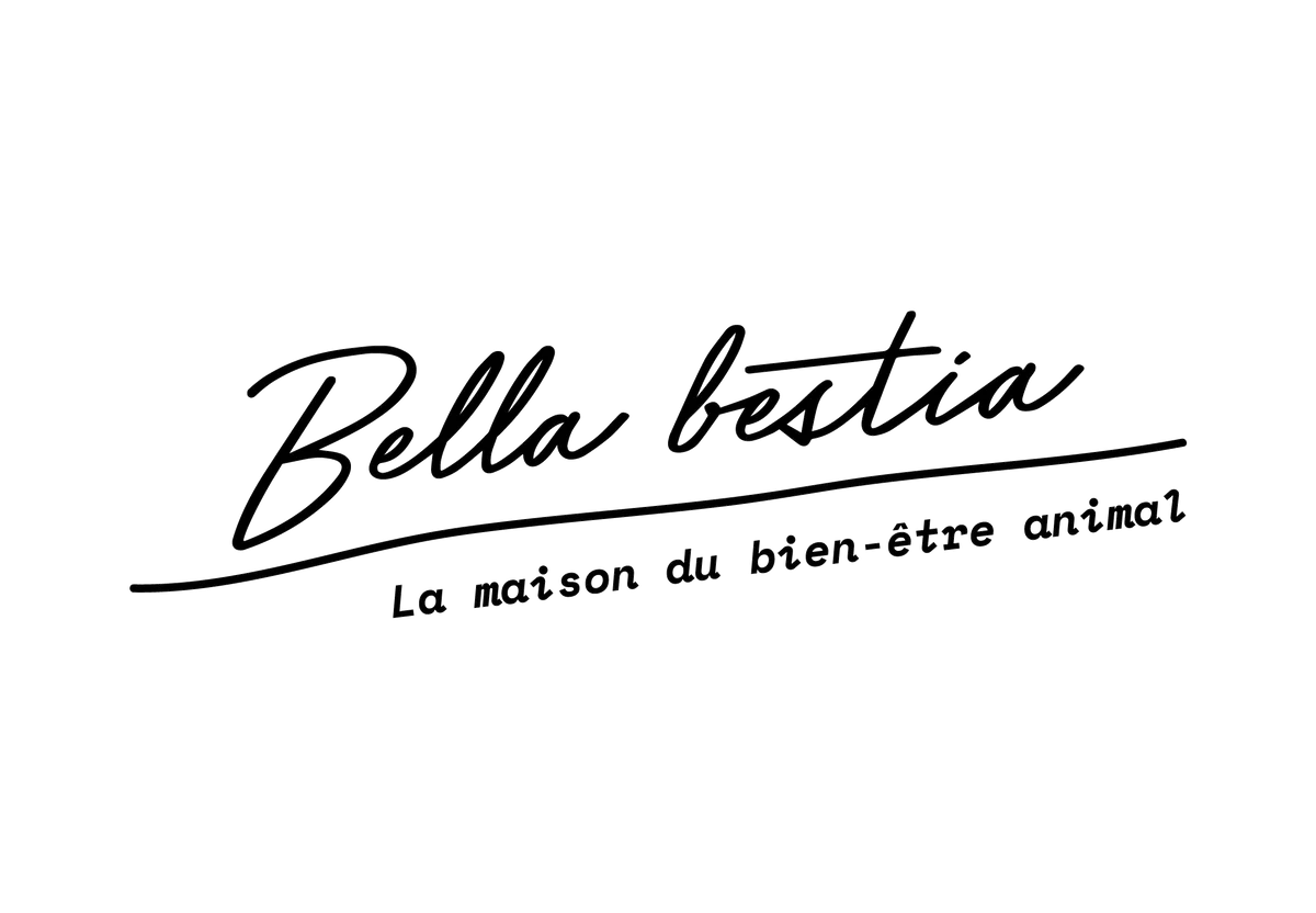 Logo Bella Bestia — la maison du bien-être animal