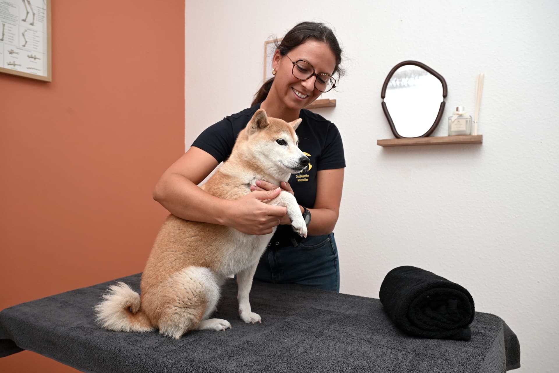 Noémie Panama, ostéopathe animalier, en séance avec un Shiba Inu au club Woof Society